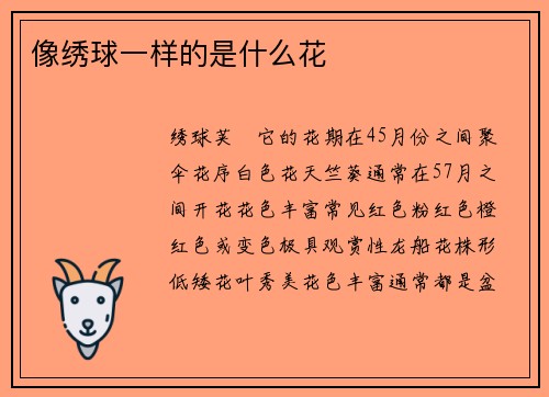像绣球一样的是什么花